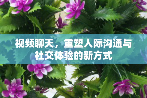 重塑人际沟通与社交体验的新方式图片