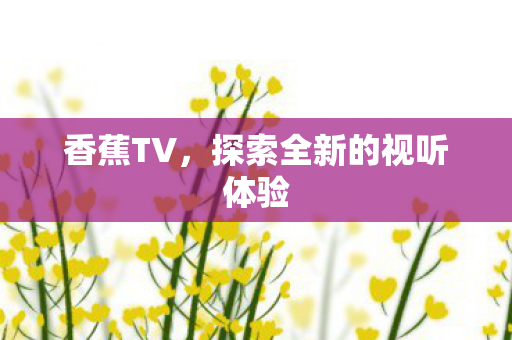 探索全新的视听体验图片