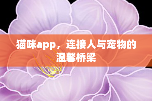 连接人与宠物的温馨桥梁图片