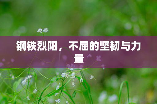 不屈的坚韧与力量图片