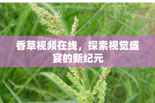 探索视觉盛宴的新纪元图片