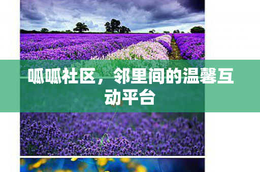 邻里间的温馨互动平台图片