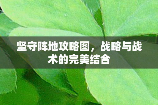 战略与战术的完美结合图片