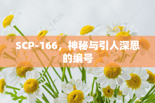 神秘与引人深思的编号图片