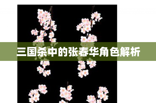三国杀中的张春华角色解析图片