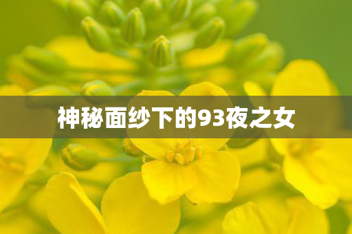 神秘面纱下的93夜之女图片
