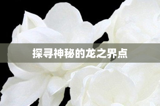 探寻神秘的龙之界点图片