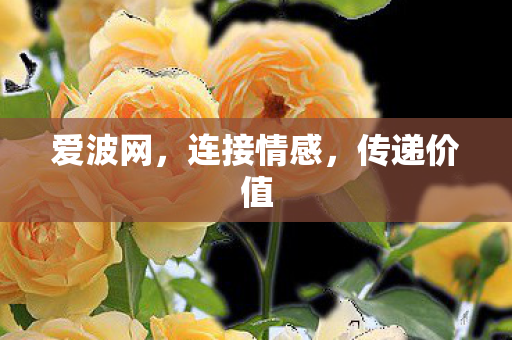 连接情感图片