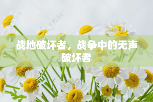 战争中的无声破坏者图片