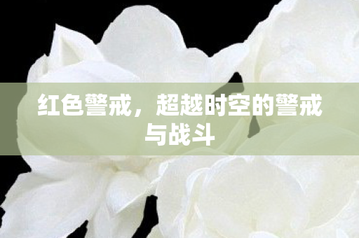 超越时空的警戒与战斗图片