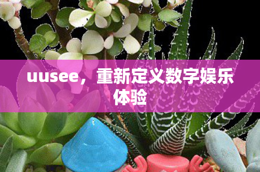 重新定义数字娱乐体验图片