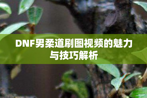 DNF男柔道刷图视频的魅力与技巧解析图片