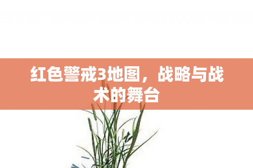 战略与战术的舞台图片