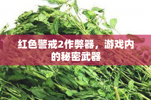 红色警戒2作弊器图片