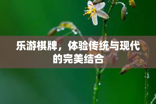 体验传统与现代的完美结合图片