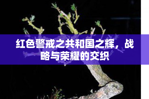 红色警戒之共和国之辉图片