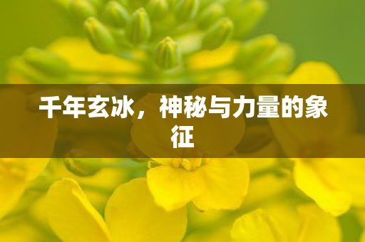 神秘与力量的象征图片