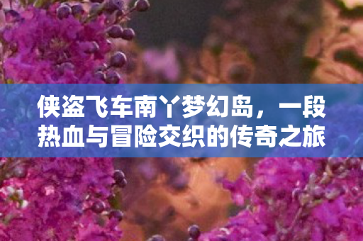 一段热血与冒险交织的传奇之旅图片