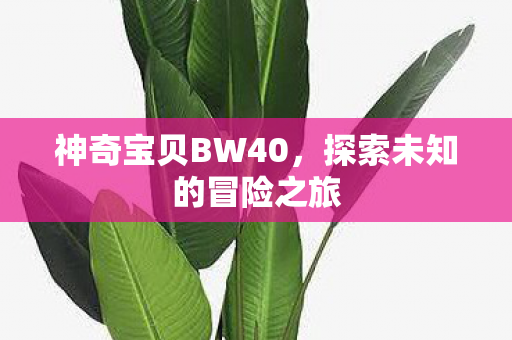 探索未知的冒险之旅图片