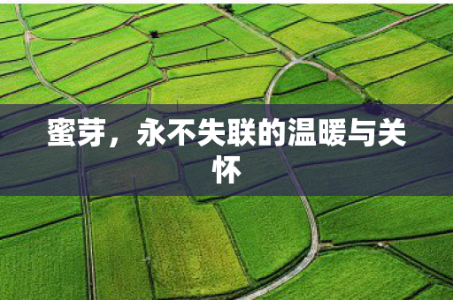 永不失联的温暖与关怀图片
