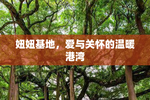 爱与关怀的温暖港湾图片