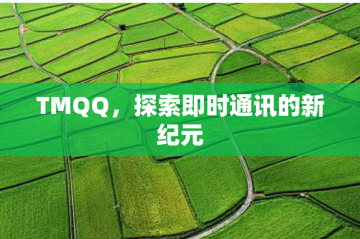 探索即时通讯的新纪元图片