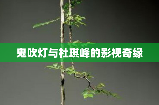鬼吹灯与杜琪峰的影视奇缘图片