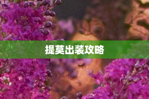 提莫出装攻略图片
