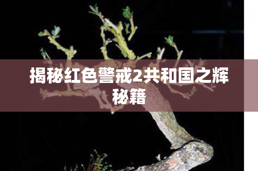 揭秘红色警戒2共和国之辉秘籍图片