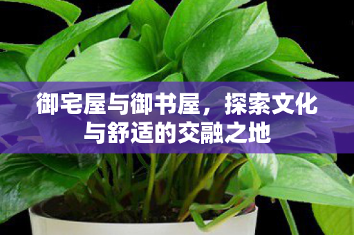 探索文化与舒适的交融之地图片