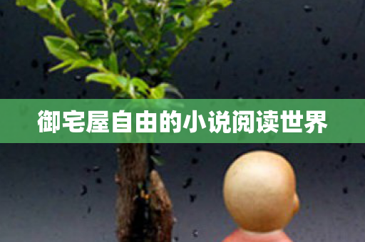 御宅屋自由的小说阅读世界图片