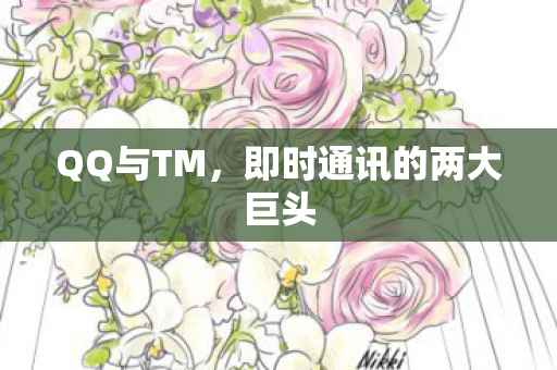 即时通讯的两大巨头图片