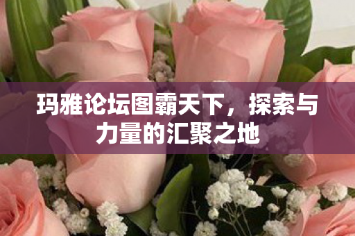 探索与力量的汇聚之地图片