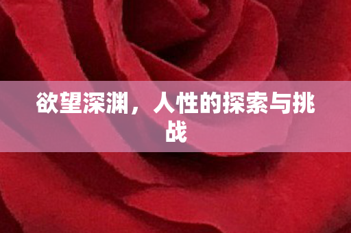 人性的探索与挑战图片
