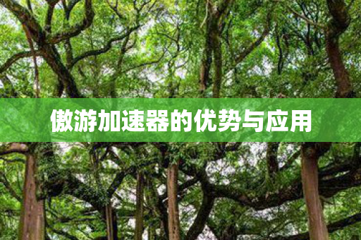 傲游加速器的优势与应用图片