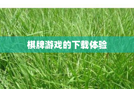 棋牌游戏的下载体验图片