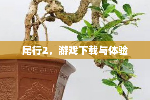 游戏下载与体验图片