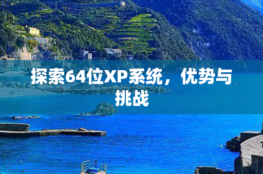 探索64位XP系统图片