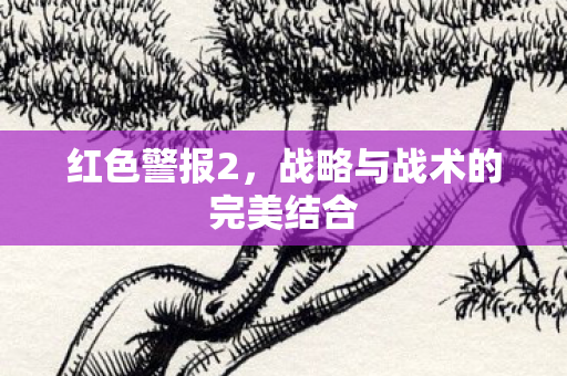 战略与战术的完美结合图片