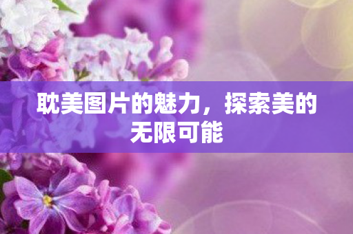 探索美的无限可能图片