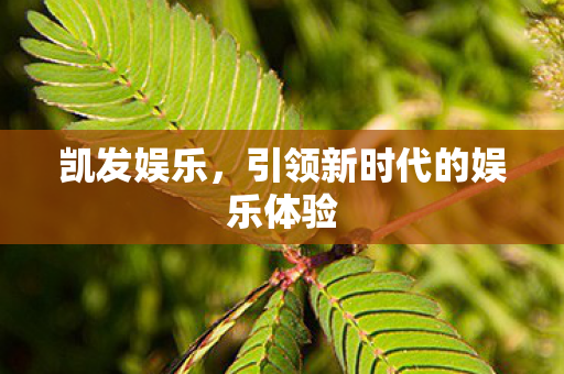 引领新时代的娱乐体验图片