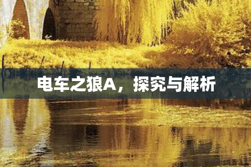 电车之狼A图片