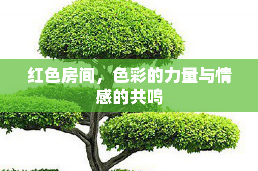 色彩的力量与情感的共鸣图片