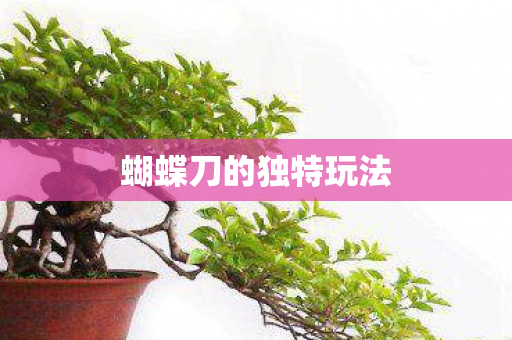 蝴蝶刀的独特玩法图片