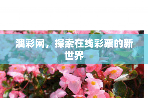探索在线彩票的新世界图片