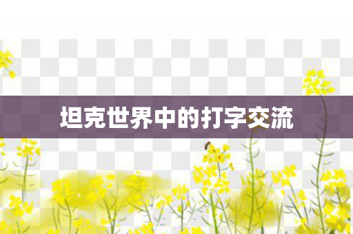 坦克世界中的打字交流图片