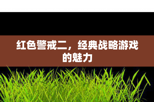 经典战略游戏的魅力图片