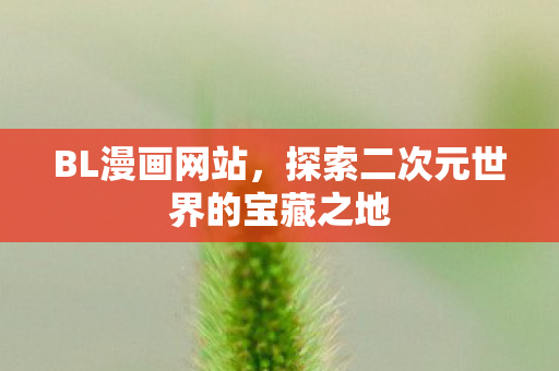 探索二次元世界的宝藏之地图片