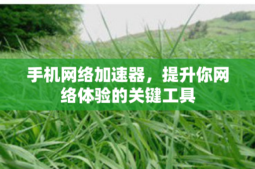 提升你网络体验的关键工具图片