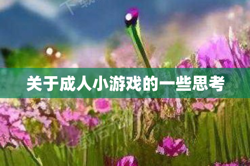 关于成人小游戏的一些思考图片